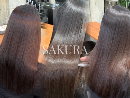 サクラ 岐阜(SAKURA)の写真