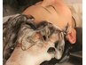 【自分にご褒美】お出かけ前に◎オージュアスカルプヘアエステ(指名不可)