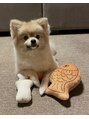 ブリッジ(BRIDGE) 愛犬のたぬきちです^_^