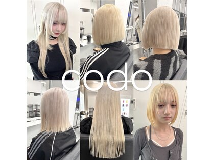 コド(codo)の写真