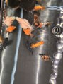 オーブヘアー ロータス 今治店(AUBE HAIR lotus)&nbsp;可愛い金魚ちゃん達を飼っています♪