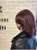 ツヤ感レッド系カラー＋ウルフカット