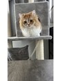 エリュ(elu)&nbsp;猫大好きです！