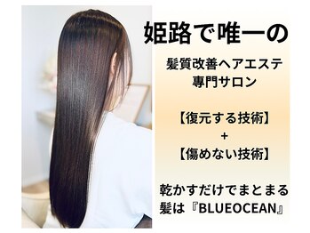 髪質改善/艶髪と艶カラー専門サロン BLUEOCEAN【姫路/飾磨】【ブルーオーシャン】