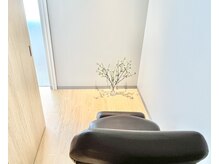 フルー(fleu)の雰囲気（フルフラット式の個室シャンプーブース。落ち着いたひとときを。）