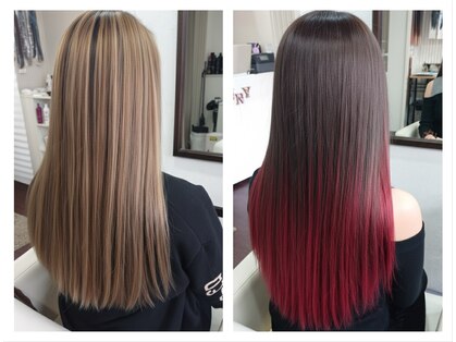 ポニー(Ponny)の写真