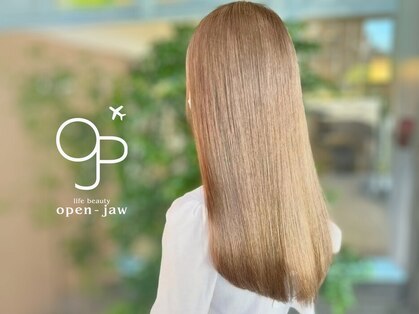 オープンジョー(Open Jaw)の写真