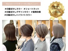 ハウオリ 金沢駅西店(Hau'oli)の雰囲気（一人ひとりの白髪に合わせた白髪ぼかしを提案します[白髪ぼかし]）