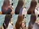 エクラートリアン 藤沢店(ECLART Lien)の写真/縮毛矯正とは思えないほど自然に☆"ECLARTオリジナル弱酸性縮毛矯正"を使用し理想の髪質に改善♪[藤沢駅]
