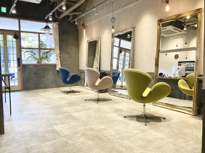 ノイ(noi)の写真