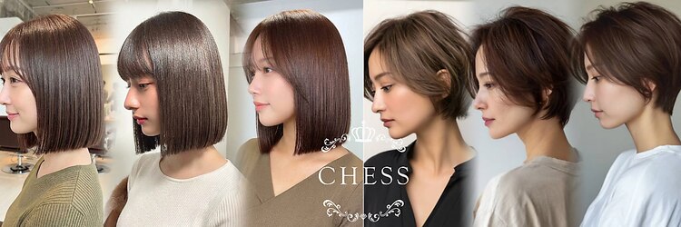 チェス(CHESS)のサロンヘッダー