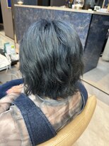 ペッツ プロフェッショナル(PETZ PROFESSIONAL)&nbsp;ダブルカラー/スモーキーブルー