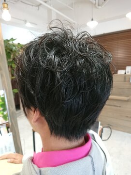 ルピナス(Lupinas) ハイブリッドマッシュ