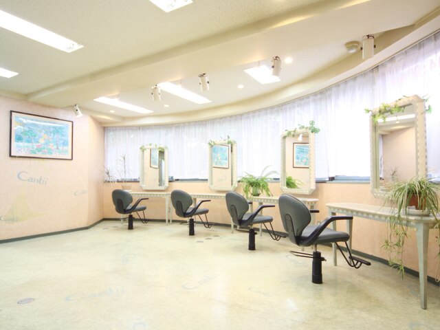 チャンティーヘア 板橋店(Cantii hair)