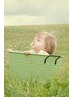 【平日限定】　ペア割・未就学児カット￥550 【内容必読】