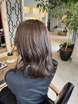 スタジオ ノル(studio noll) [徳尾　ブラウン]こっくりブラウン