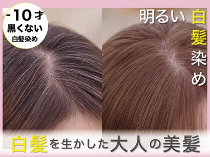 モイ(moy)の写真