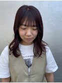 ボルドールビー