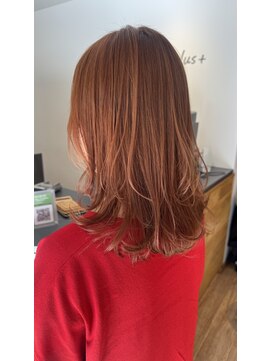 オークプラス(OAK plus+) オレンジカラー