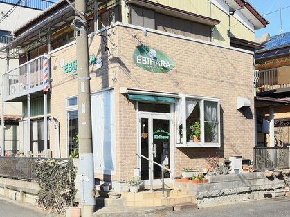 エビハラ(EBIHARA)の写真