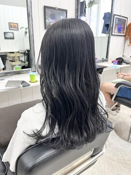 エンヴィ(ENV) 透明感ネイビーブルーグレーアッシュブルーブラックカラー