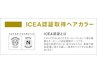 白髪染めリタッチ92％天然由来オーガニックカラーヴィラロドラ