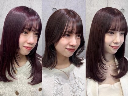 クラム(clam.)の写真