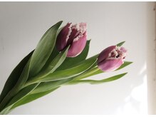 スウ(SUL)の雰囲気（歴10年以上の女性スタイリストが担当。少人数のサロンで寛げる。）