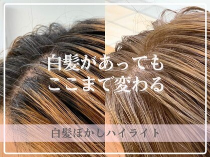 ハートクリップノーティス 天理店(HEART CLIP Notice)の写真