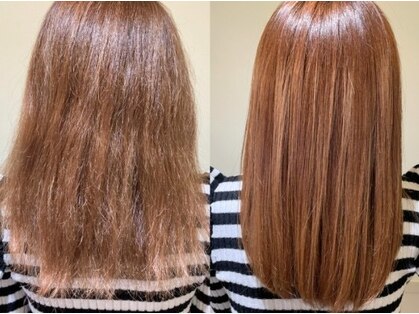 リンクス(Links)の写真