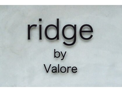 リッジ(ridge)の写真