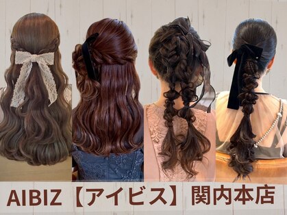 アイビス(AIBIZ)の写真