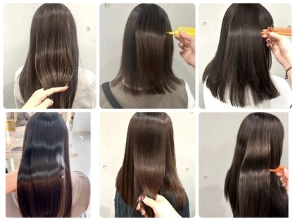 フィッツ(Fits)の写真