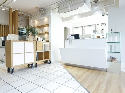 グルー(glue)の写真