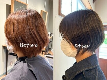 リンクス(Links)の写真