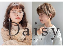 Daisy【デイジー】