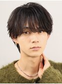 フェザーシースルーウルフ