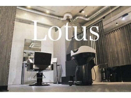 ロータス(Lotus)の写真