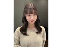 シダ(sida)