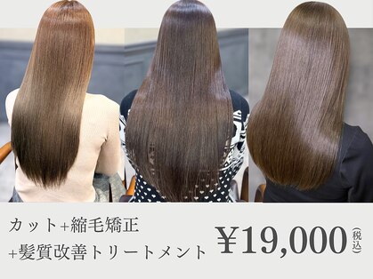 アーカイブ(Archive)の写真