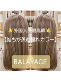 コントラストバレイヤージュ【札幌東区/東区】【東苗穂】
