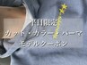 ☆平日限定モデルクーポン☆ カット・カラー・パーマ半額クーポン！