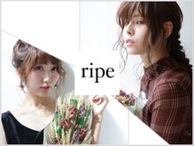 リペ(ripe)