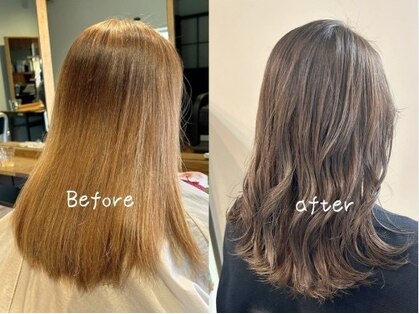 リンクス(Links)の写真