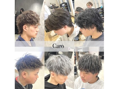 カロ(Caro)の写真