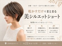 ヨール(YOL)