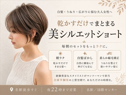 ヨール(YOL)の写真