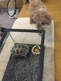 デイジー 八千代勝田台(daisy) 動物大好きです。生き物は大体好きです。動物のお話を是非！