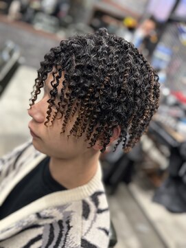 スリーセント 栄(3/cent) スプリングドレッド