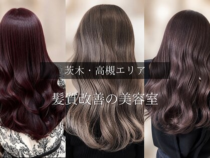 シェルマン(Charmant)の写真